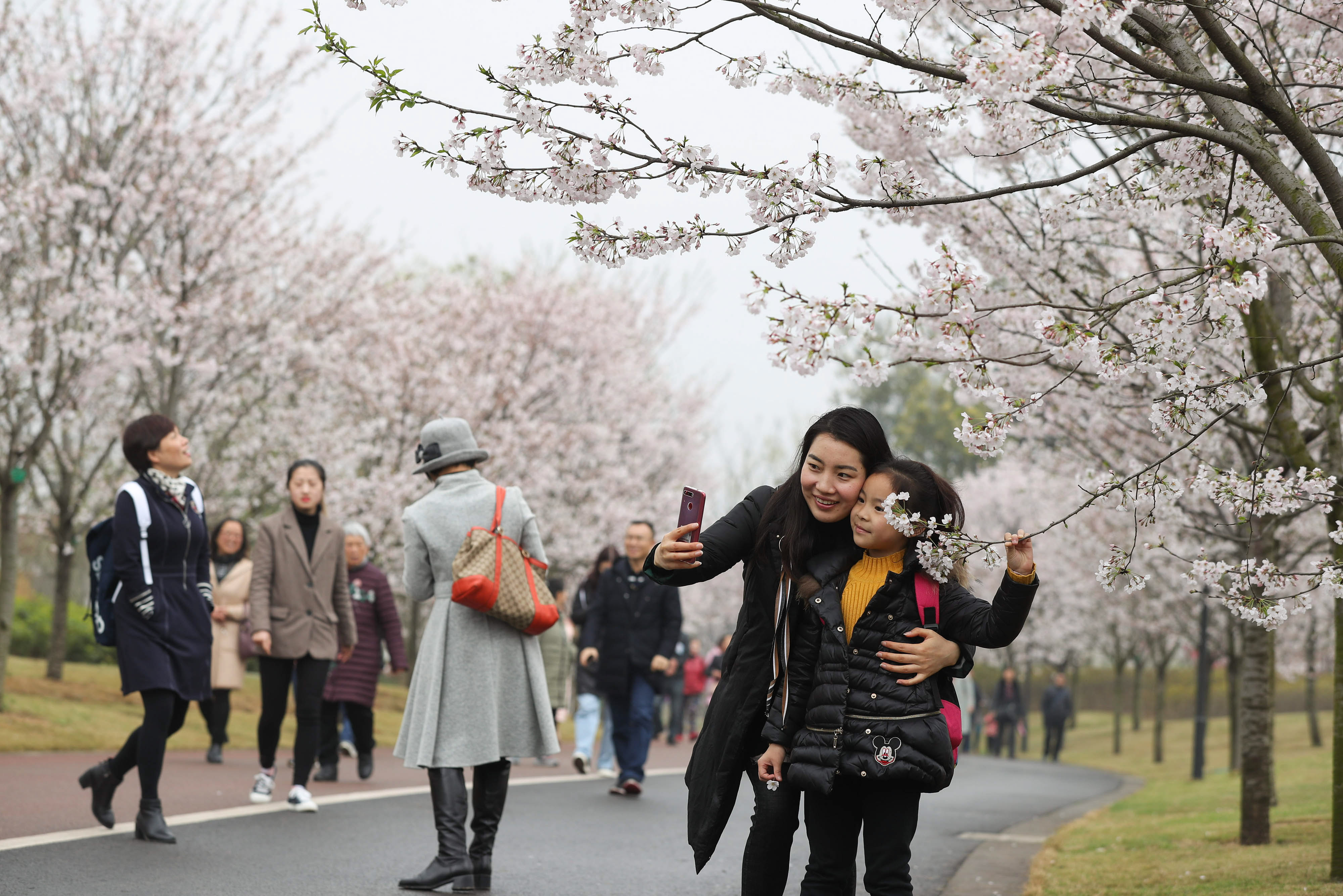 3月18日,游客在眉山樱花博览园里观赏游玩.