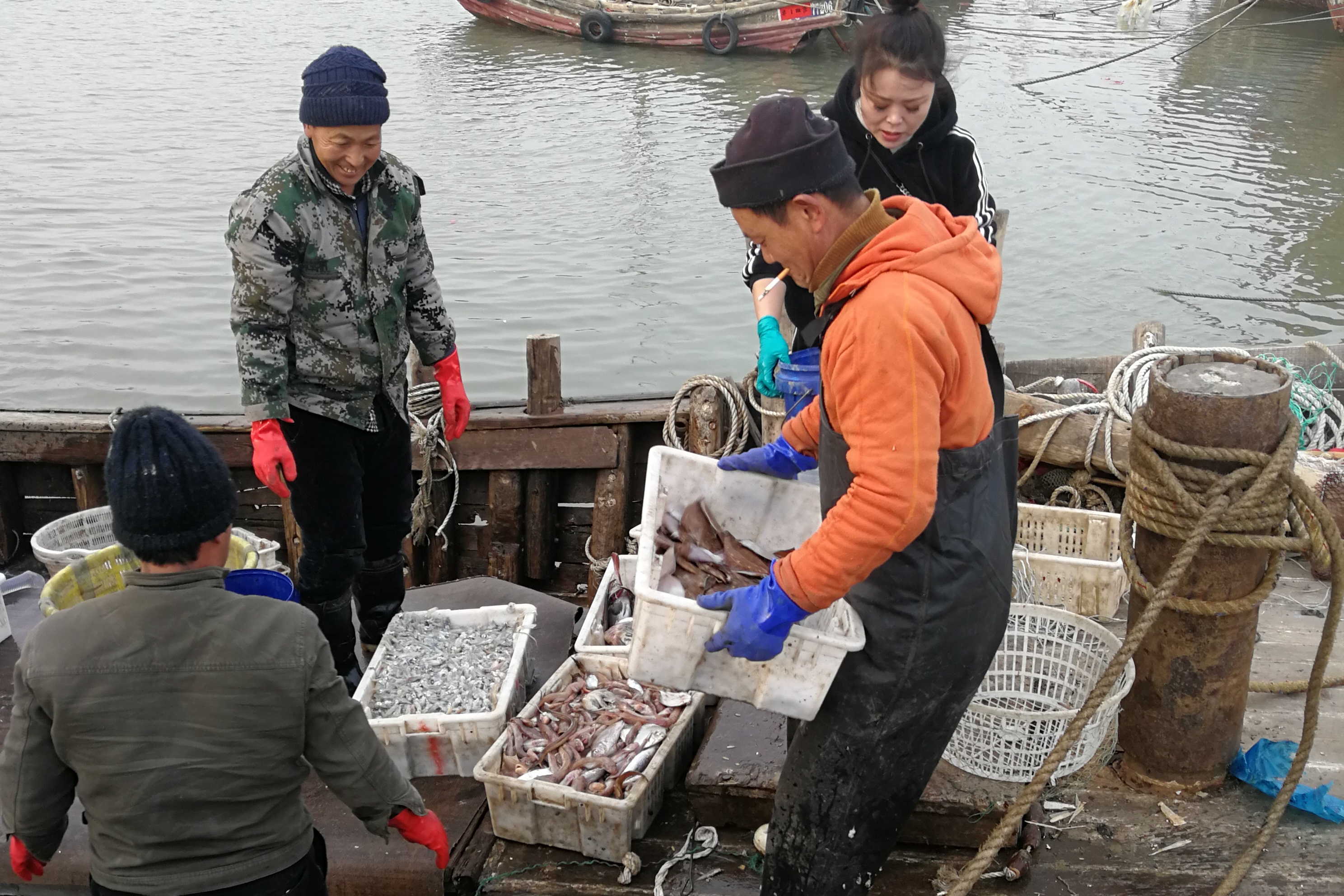 渔民出海打渔归来收获满满其中两只野生海参就卖了100块