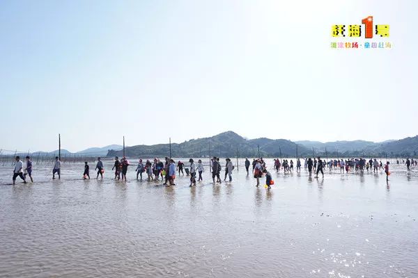 4月份开海大庆连江赶海一号滩涂赶海沙滩乐园一日游