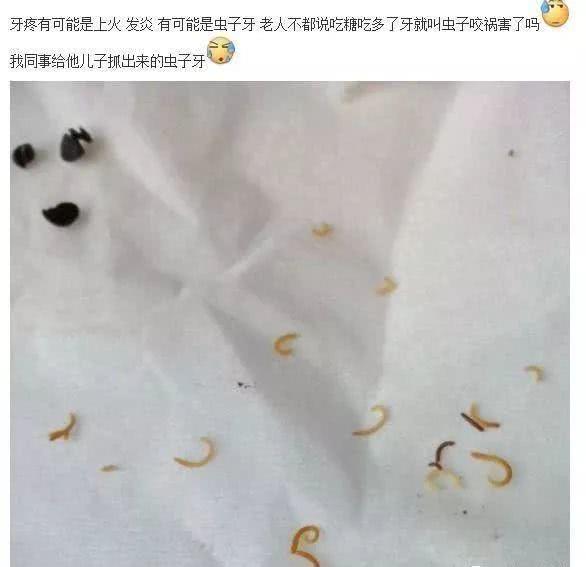 人的牙齿真的会有牙虫吗?为什么会生虫子?