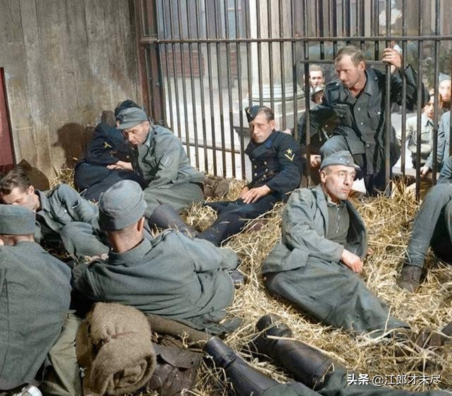 1/ 12 1944年9月盟军解放了比利时的安德卫普,俘获了大批德军战俘以及