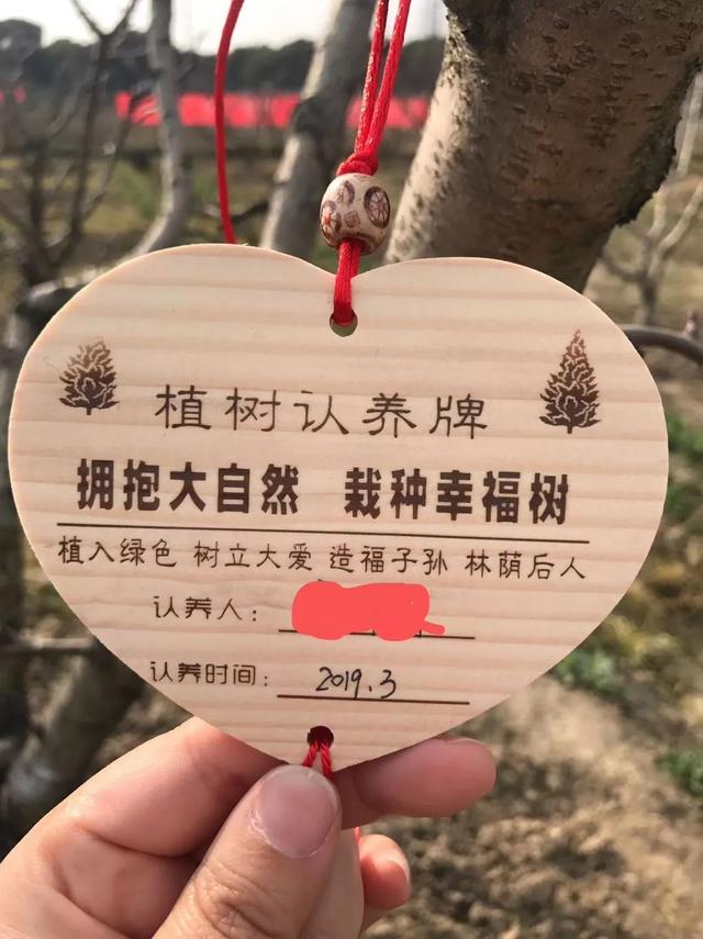 阳春三月相约雪堰桃花节认养桃树吗结出的桃子全归您的那种