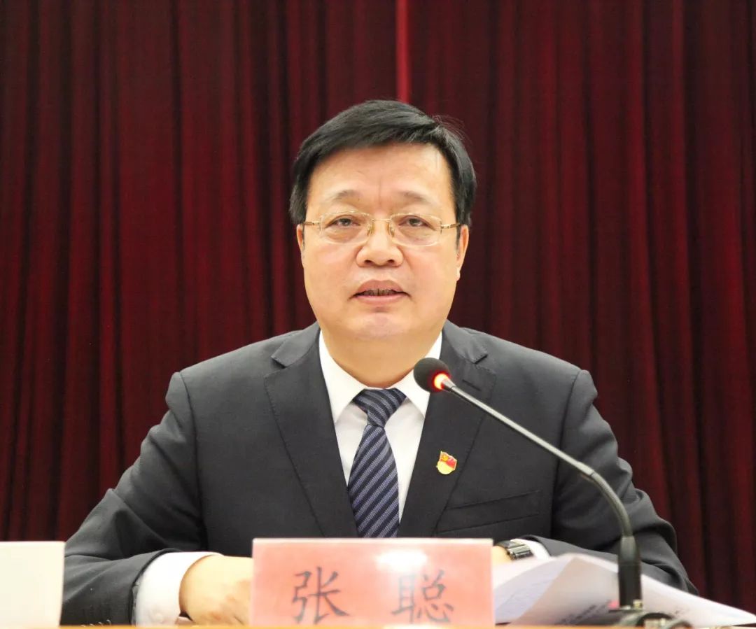 区委书记张聪,区长费再宏,区委副书记林占勇,区领导席玉东,李贵宝