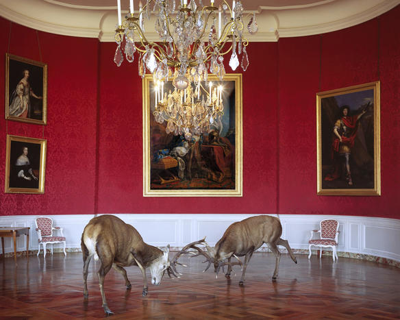 Karen Knorr：这世界本就是个动物园