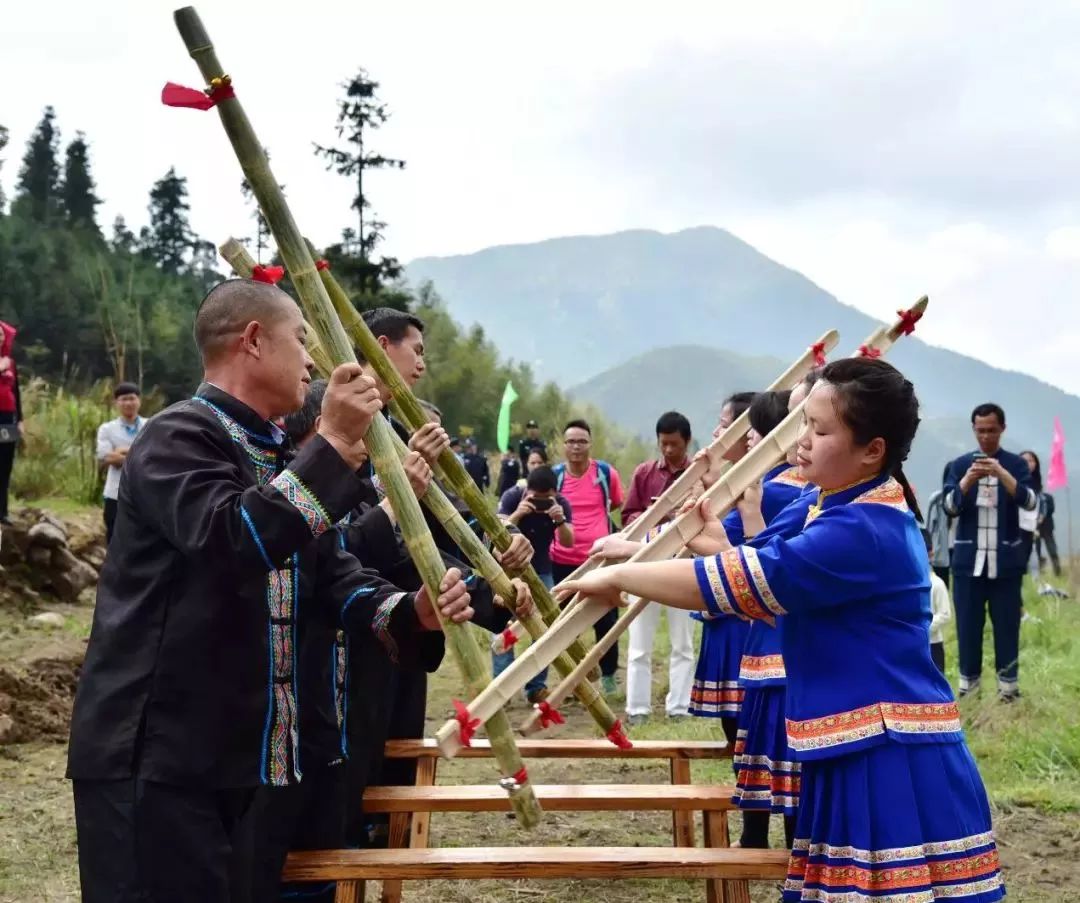 再过7天!清远映山红节来了!杜鹃花即将开满山头,红若云霞!