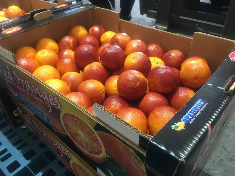 意大利西西里血橙首次进入中国,要与国产水果打时间差!