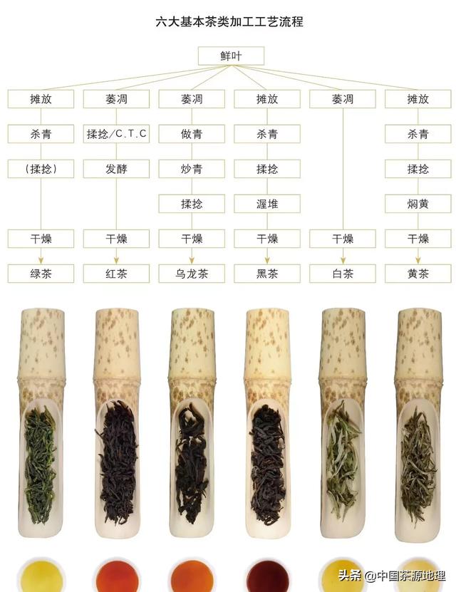 白茶的制作工艺流程图图片