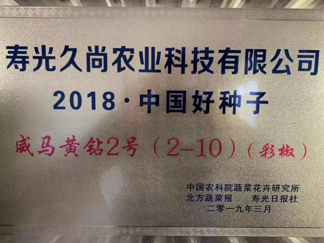 战略合作 强强联合 大连米可多国际种苗携手久尚农业官方战略合作伙伴