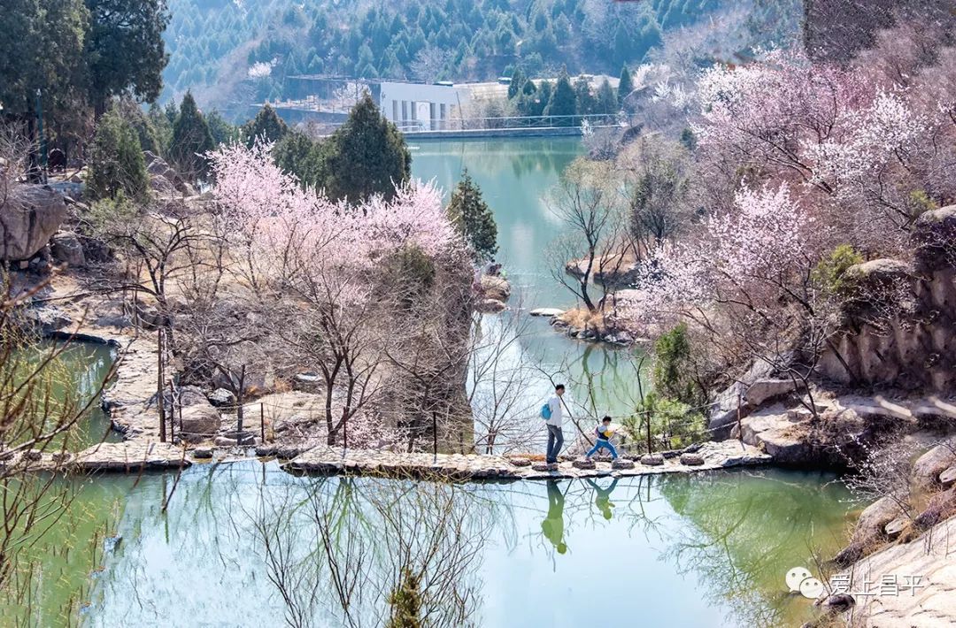 tips:地址:北京中關村與陽坊交匯處北京後花園風景區路線:自駕車g6在