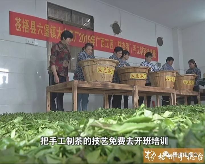 陈奎香六堡茶图片