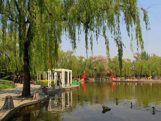 北京免费公园大盘点,足足50个,不花钱玩转北京