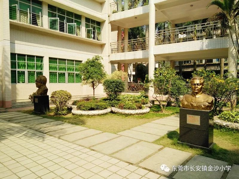 东莞金沙小学图片