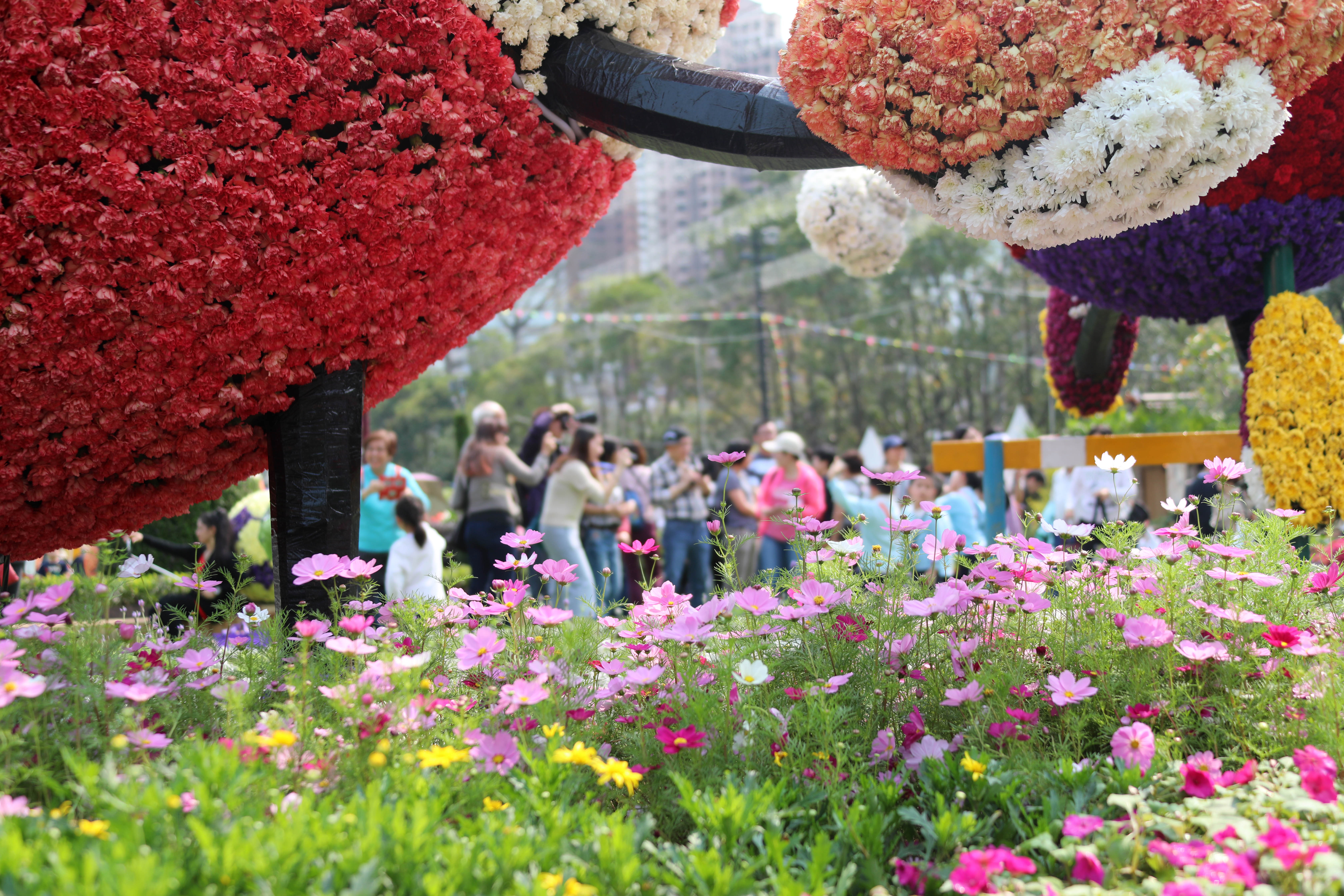 成都麓客岛水城花植展图片