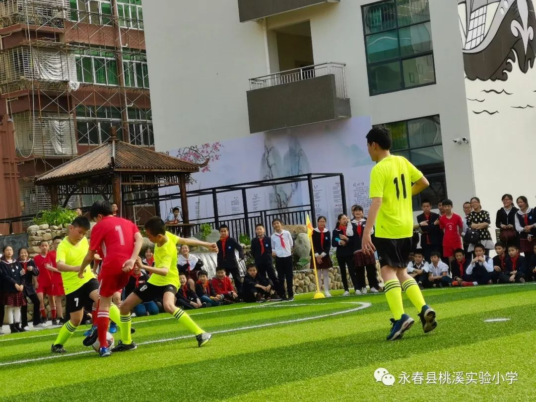 永春县桃溪实验小学图片