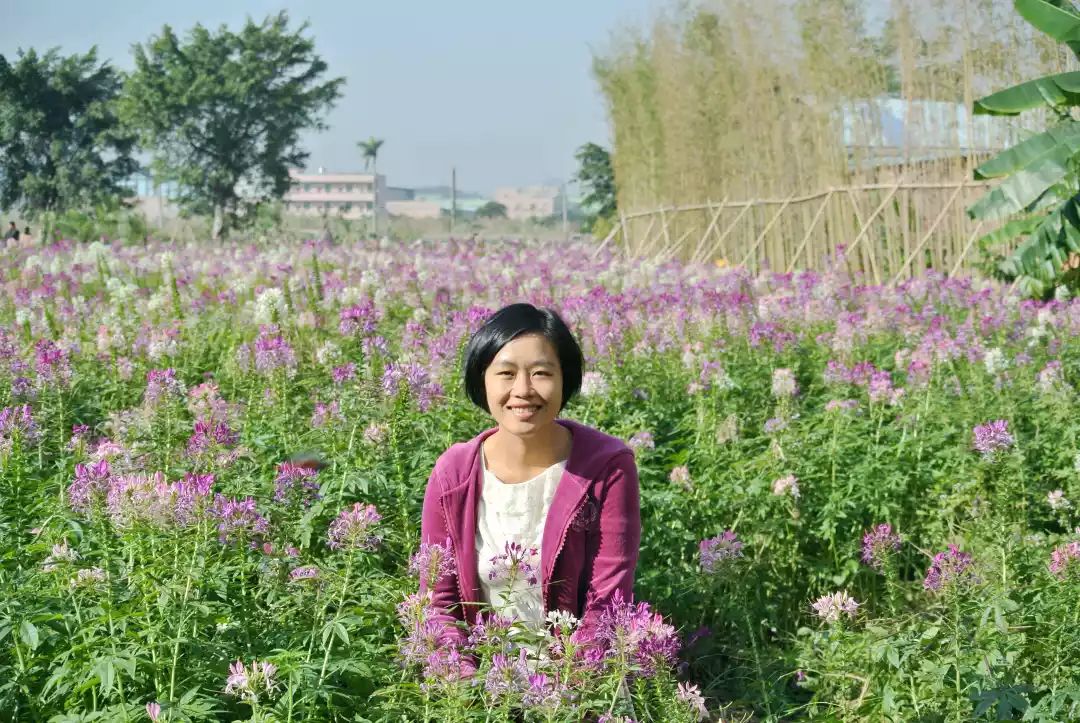 唐婉妍老师温春兰老师徐杏梅老师叶冬菊老师叶洁茹老师袁静贤老师郑梅