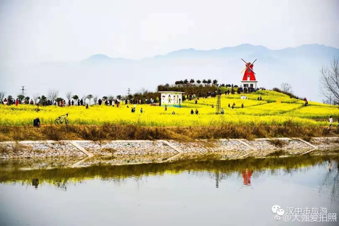 3月17日,漢中市漢臺區老君鎮皇塘觀花點遊人如織,遊