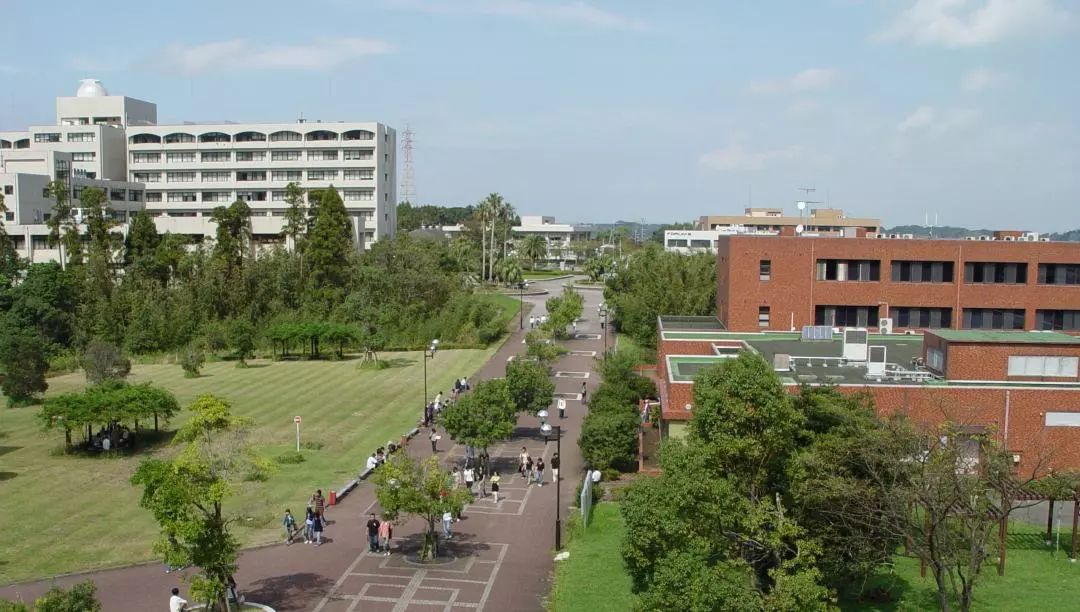 宫崎国际大学图片