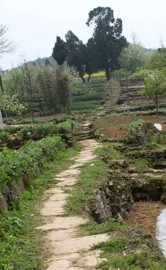 茨竹乡寻景记2:漫步茶马古道,品味家乡美食