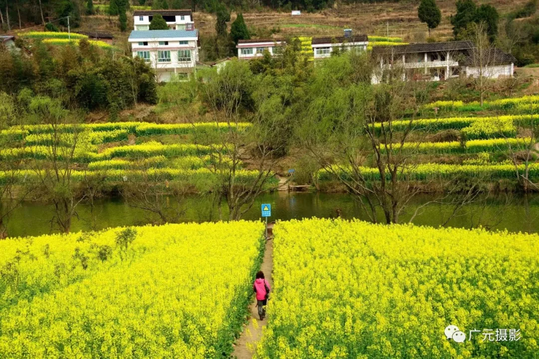 广元剑阁双旗美村图片