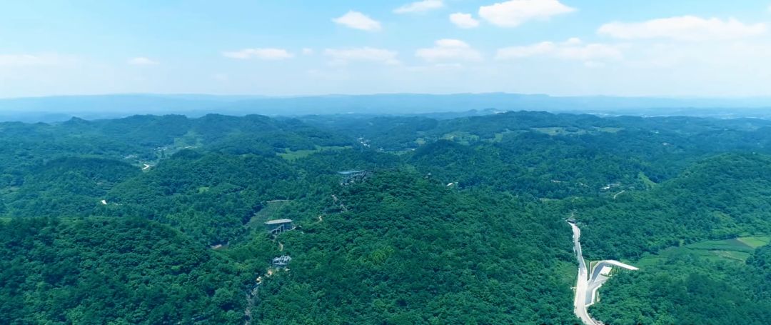 鳳岡茶海之心景區九龍景區歡迎您