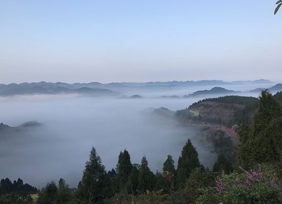 別有一番韻味霧裡看花蓬溪縣任隆鎮八角村八角村在霧的映襯下宛如仙境