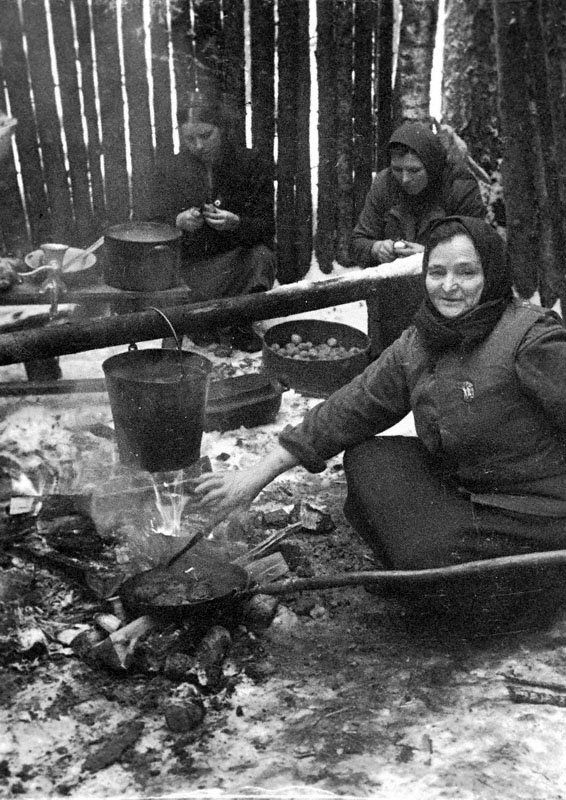 苏联平民伙食图片