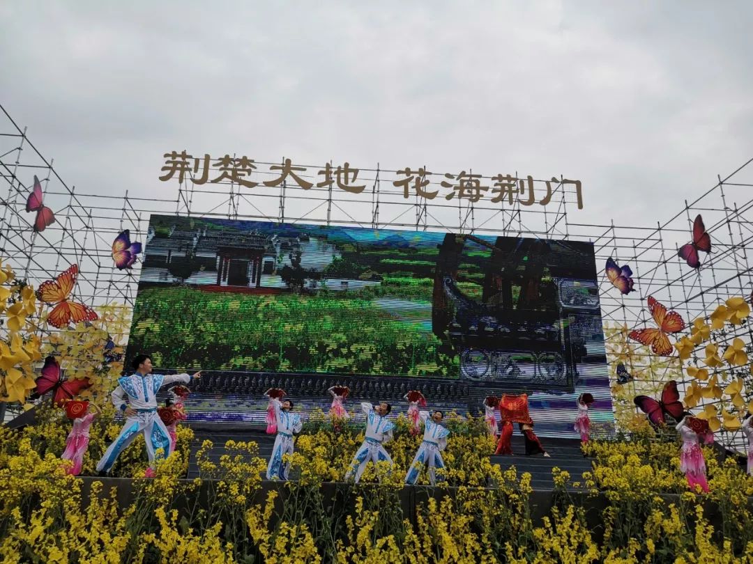 关注油菜花节在沙洋张池开幕新鲜高清现场图出炉另附旅游线路