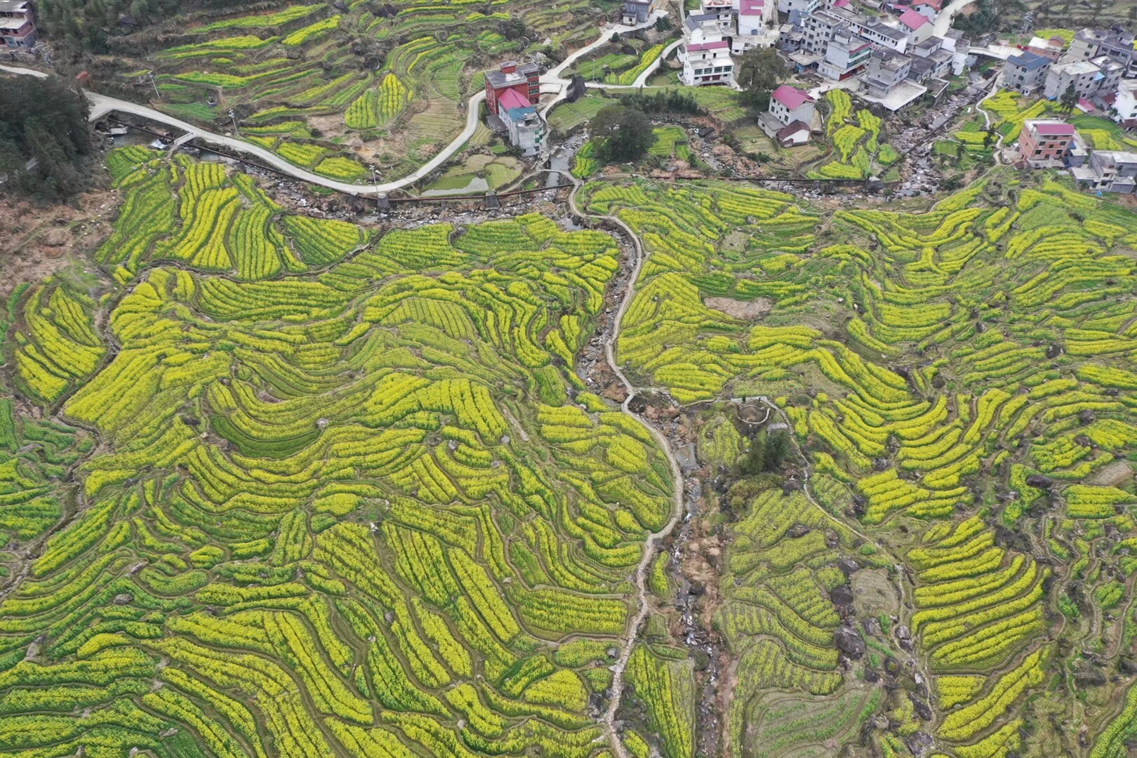 空中看景江西上饶县望仙乡葛路梯田