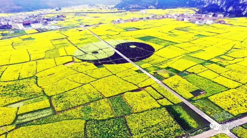 下半年则可能搬入新园就读 旅游开发建设 说起都匀凯口的美景 很多人