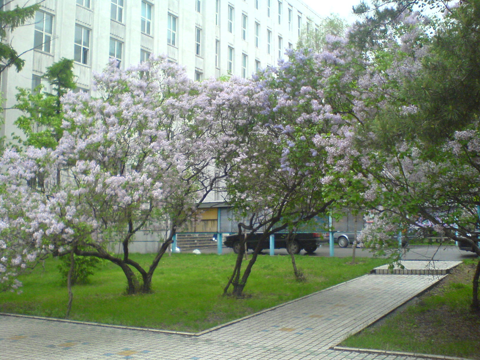 事实上东北林业大学本身校区的面积并没有很大,但是因为这个林业基地