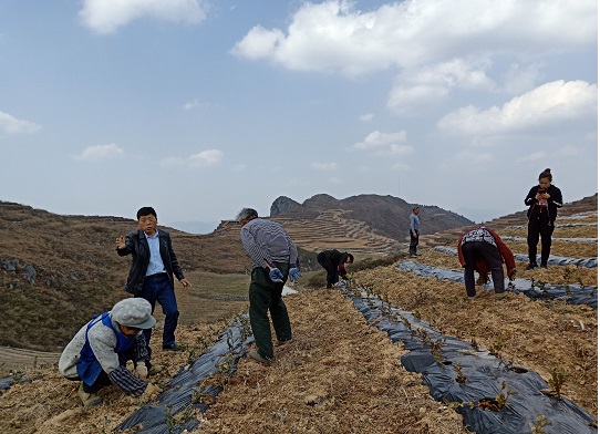 石阡县花桥镇图片