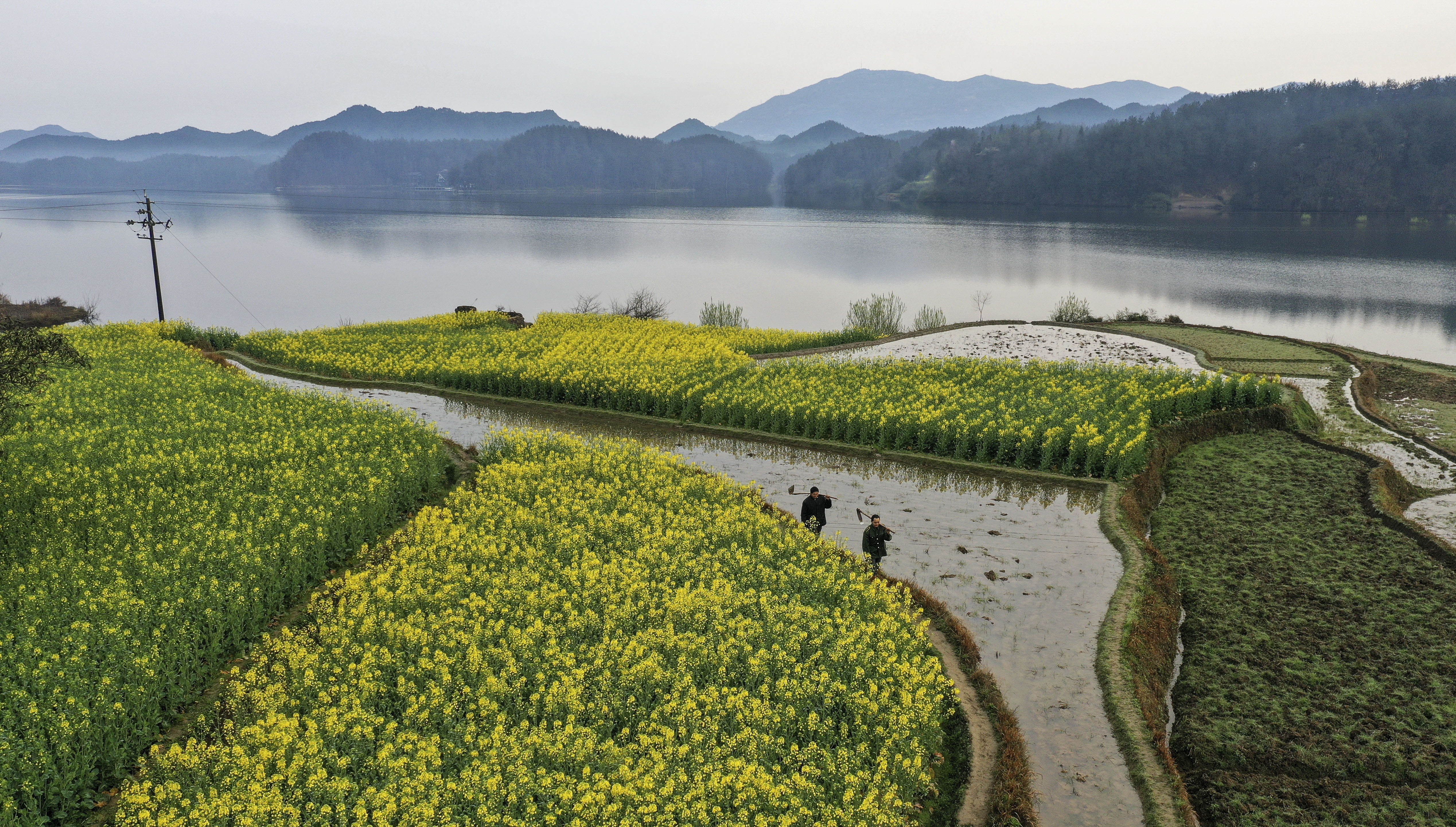 汉中市南郑区红庙镇干坝村村民在田间行走(3月18日无人机拍摄.