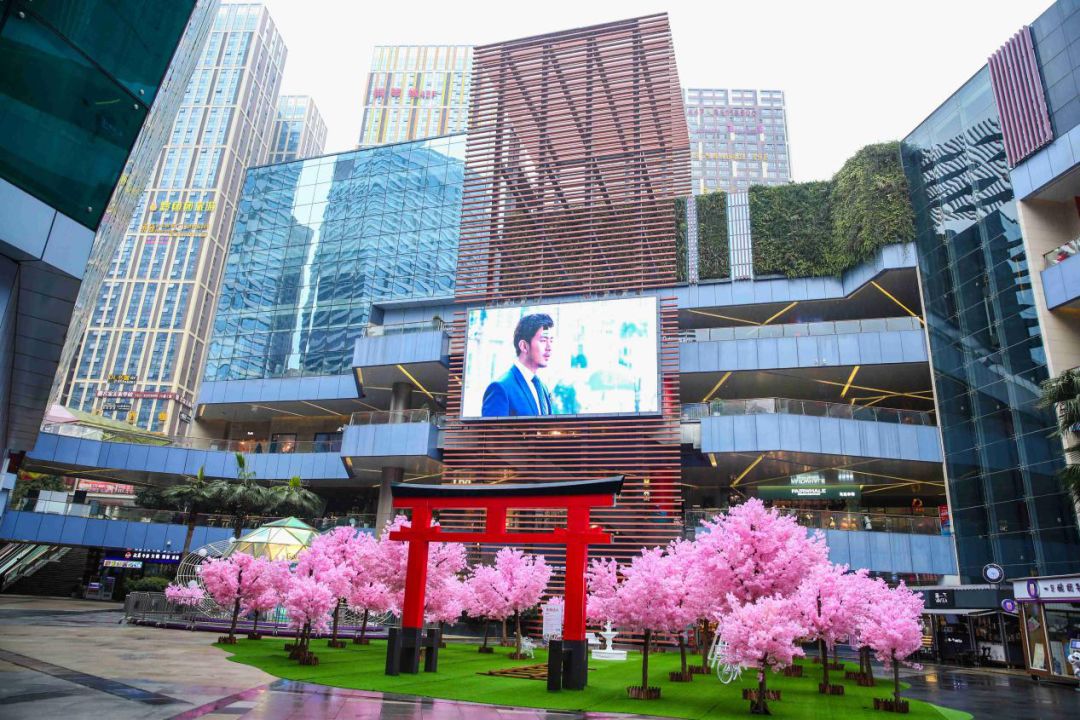 又一个网红自拍圣地:花果园购物中心樱花盛景 靠才华吃饭的人就是你!