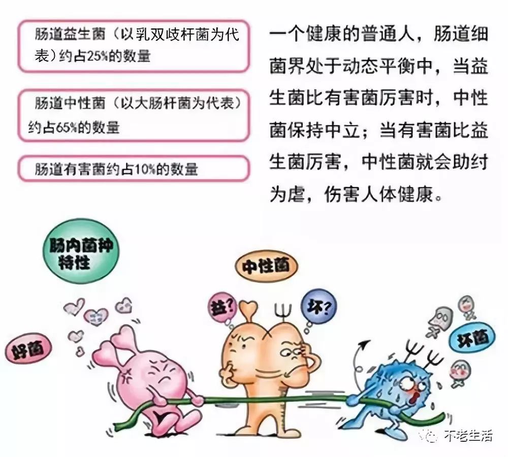 科普知识老年人容易得肠道菌群失调调理肠道健康迫在眉睫