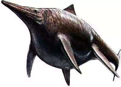 恐龙时代最大的鱼图片