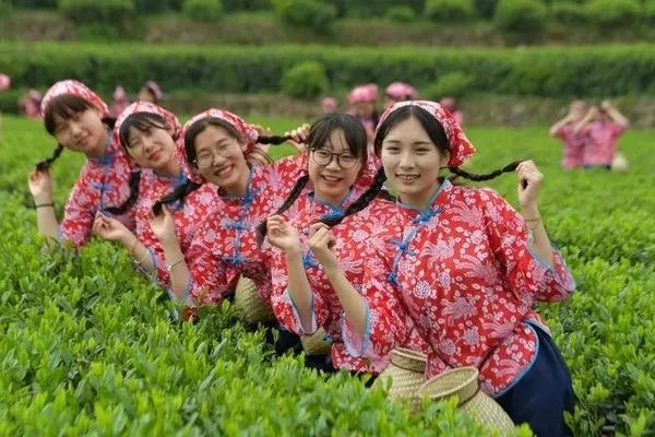 思故國且將新火試新茶詩酒趁年華四重禮--兩泡桃溪綠茶三重禮--贈送