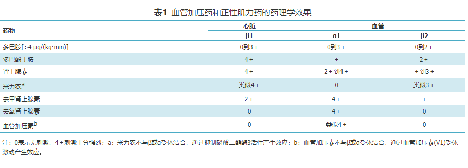 血管活性药物正性肌力药物的受体分布特点与选择1