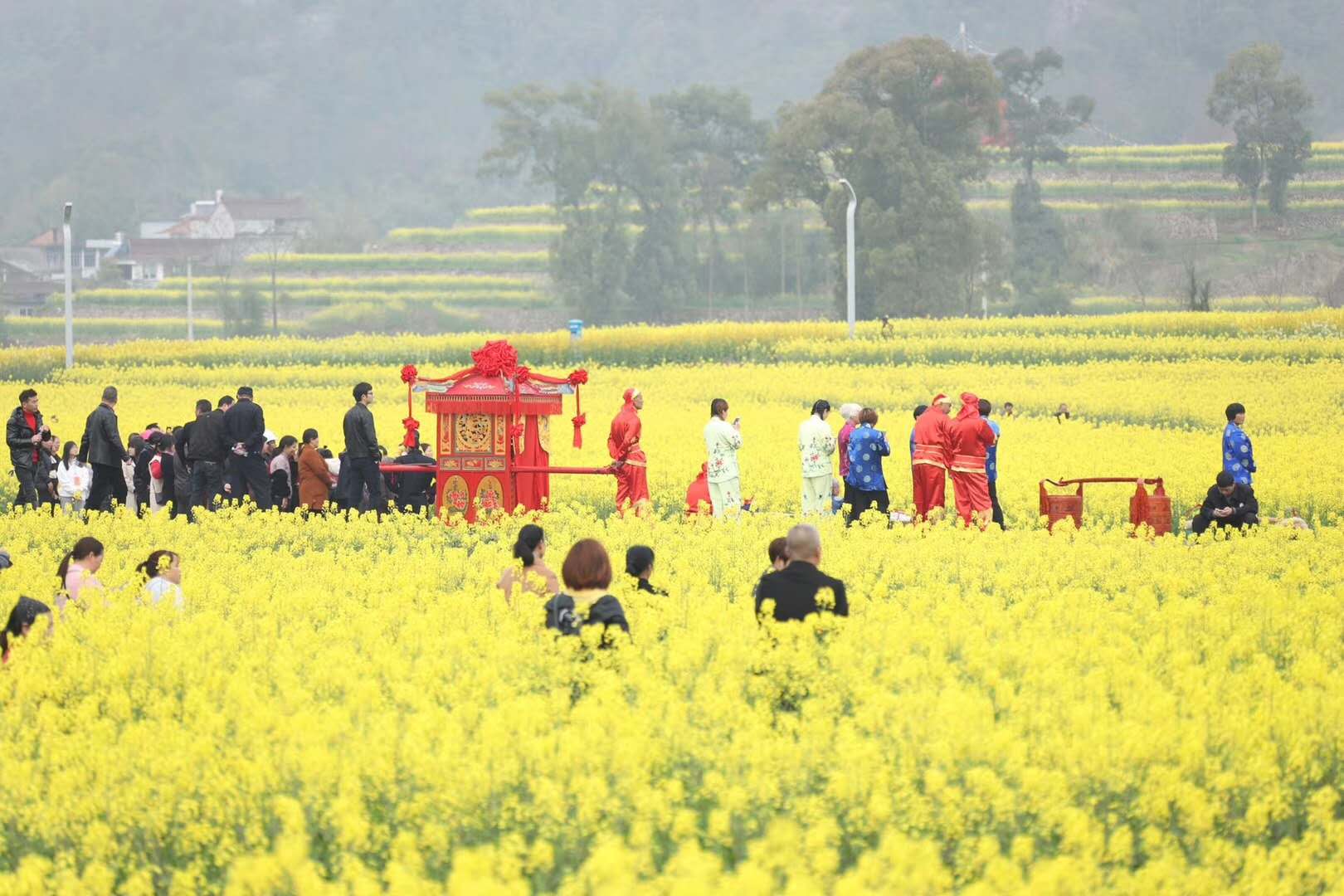 仙居油菜花节图片