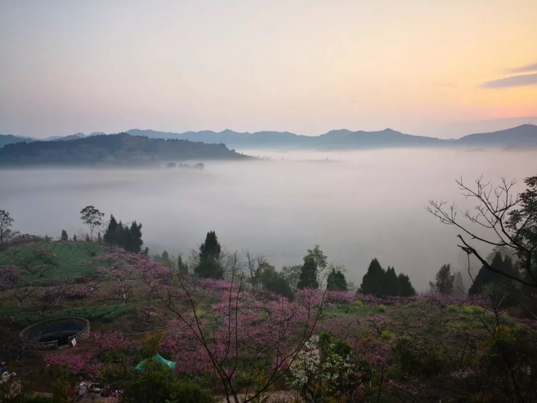 旅遊節暨蓬溪縣第七屆鄉村旅遊節開幕儀式在蓬溪縣任隆鎮八角村舉行