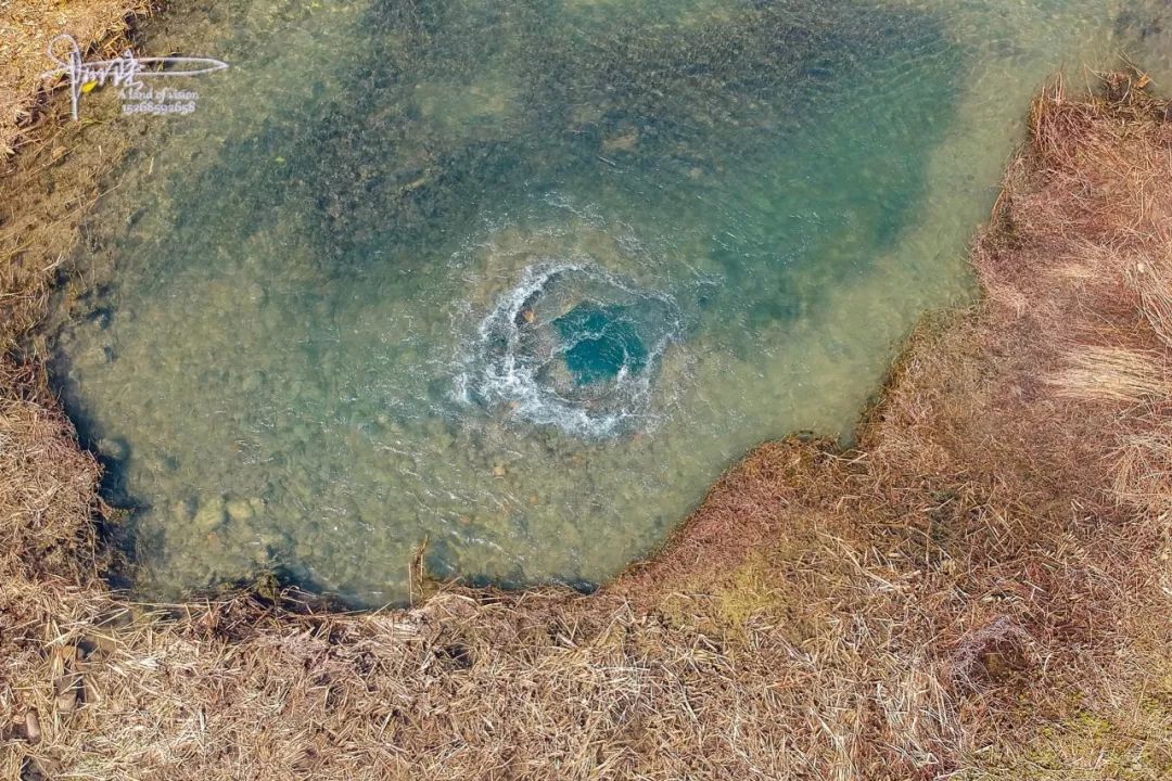 原创在茅家埠发现一处泉眼原来是西湖水的生命通道
