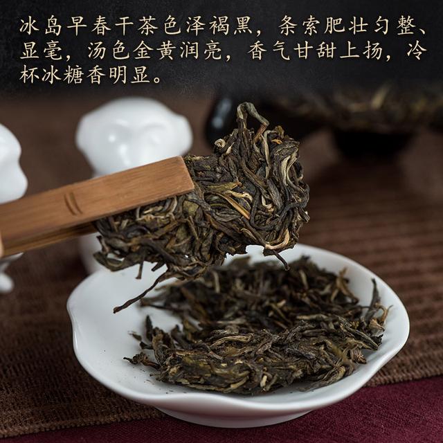 冰岛早春:春茶季最具关注力的勐库茶