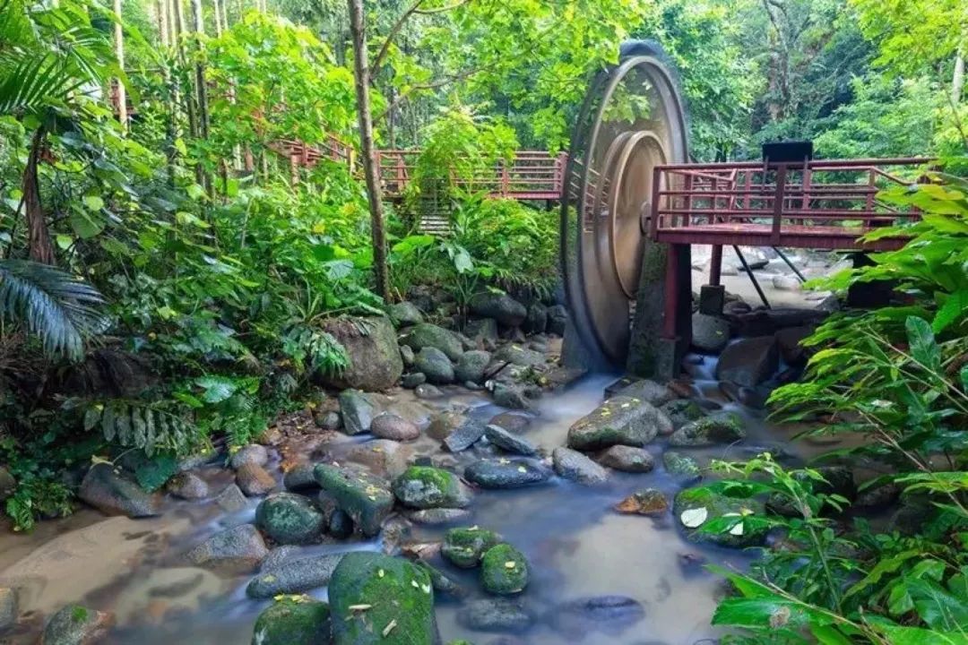 「原始熱帶雨林探險之旅活動」