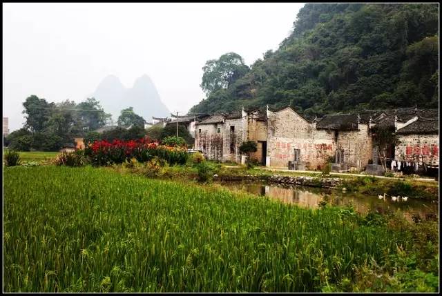 坐落著不少古民居的陽朔縣白沙鎮舊縣村,除了隨處可見的青磚黑瓦,深深