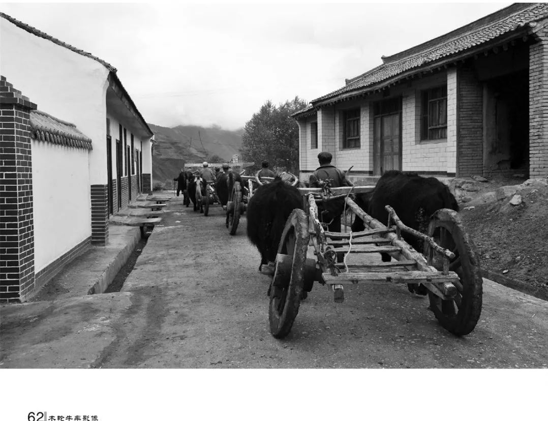 农村70年代感牛车图片图片