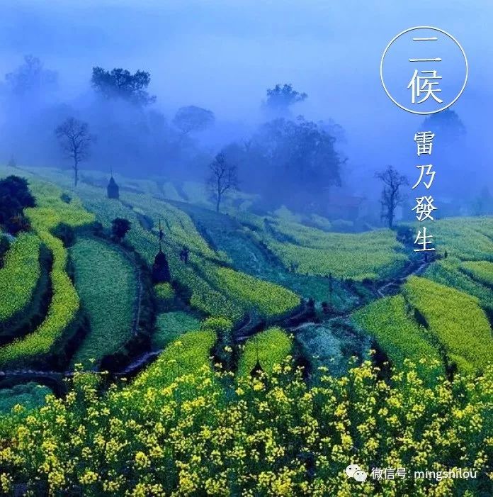 我国古代将春分分为三候"一候元鸟至;二候雷乃发声;三候始电.