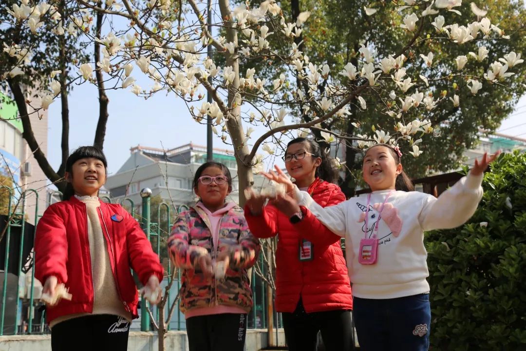 幼兒園紫藤花開春色躍然紙上綠意盎然春來到長河鎮中心幼兒園綠意盎然