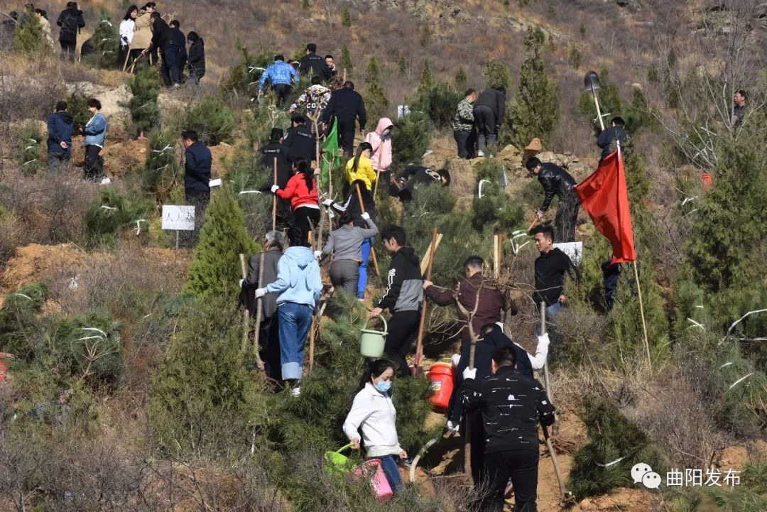 曲陽嘉禾山上要變樣了,今天都去植樹造林了!