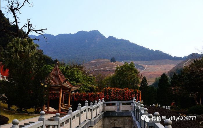 丰顺韩山风景区赏杜鹃花,梅州叶剑英纪念园,客家公园两天游