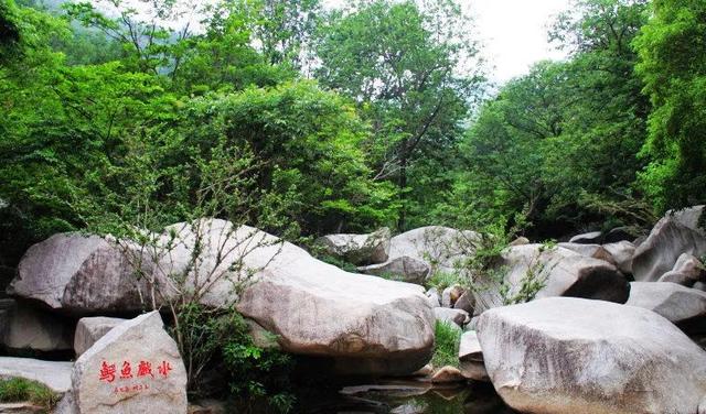 惟妙惟肖,浑然天成奇石遍布,形态各异"三鲨闹龙潭"船石"神龟过江.