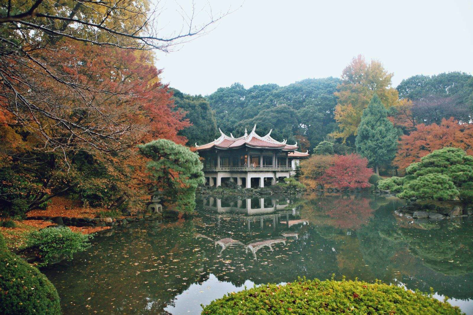 东京五大樱花名所 你要看的都在这里 公园